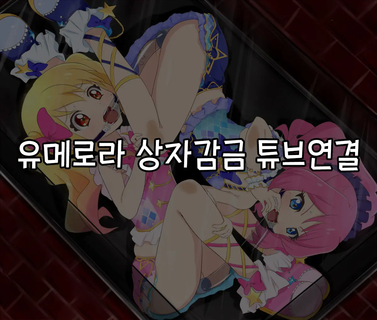 Yume Laura Hakozume Tube Renketsu | 유메로라 상자감금 튜브연결